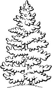Beautiful Pine Tree Coloring Page Super Coloring Christmas Tree Coloring Page Tree Coloring Page Christmas Coloring Pages