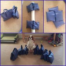 Lots of diy sandbag to choose from. Adapt Improvise Overcome Daisy Flex Grrrr Agility Training For Dogs Dog Agility Course Dog Agility Diy