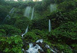 Air terjun benang kelambu address: Air Terjun Benang Kelambu Wisata Menakjubkan Di Lombok Nusa Tenggara Barat