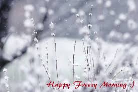 Good morning images for winter season. Winter Good Morning Images Hd 2560x1707 Wallpaper Teahub Io
