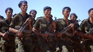 Le Front Polisario Deploie Ses Missiles Sol Air Et Met En Garde Le Maroc Algerie Patriotique
