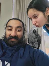 LOST AFRICAN GREY Takanini, Auckland, New Zealand DECEMBER 12/23/2024 He is  microchipped so please either phone Companion Pets, Takanini Vets, Animates  Takanini who all have my contact details, or message me through
