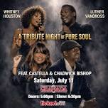 Whitney Houston & Luther Vandross Tribute: A Night of Pure Soul