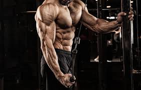 10 best tricep exercises workouts for