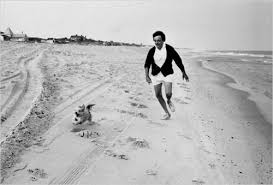Kurt Vonnegut On The Beach With His Dog Taken By Austin Kleon Tumblr Kurt Vonnegut Dog Milk New York Times Arts