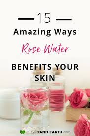 Advantages of rose water in hair care are : Find Out 15 Must Know Rose Water Benefits And Everyday Uses For Our Skin And Hair Includes A Quick V Rose Water Diy Rose Water Benefits Rose Water Diy Recipes