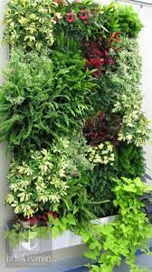 You're in the right place for if you're still in two minds about garden warehouse and are thinking about choosing a similar product. 91 Garden Warehouse Ideas Green Wall Vertical Garden Design