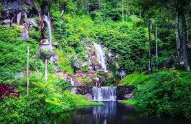 Rekomendasi tempat wisata di jogja lengkap. Gak Cuma Bromo Ini 5 Destinasi Wisata Di Malang Menarik Untuk Dikunjungi Okezone Travel