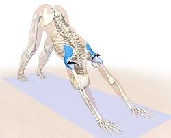 Pin On Shoulder Rehab