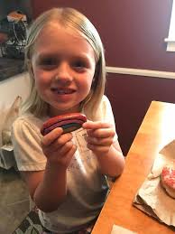 Rocks chosen from Angels of Action garden