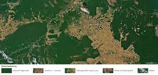 Maybe you would like to learn more about one of these? Diercke Weltatlas Kartenansicht Rondonia Brasilien Rodungsstrukturen 978 3 14 100870 8 232 2 1