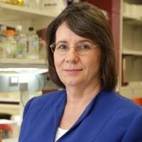 400+ "Benbrook" profiles