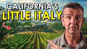 Vineyard of the Month Dutton Palms Vineyard