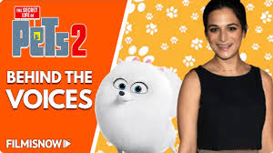 Sur.ly for drupal sur.ly extension for both major drupal version is free of charge. The Secret Life Of Pets 2 Discover Who Voiced The Characters Youtube