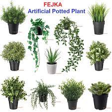 Free shipping on qualified orders. Plants In Pots In Dried Artificial Flowers For Sale Ebay