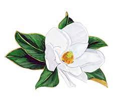 Magnolia White Blossom Mississippi Louisiana State Flower Vinyl Decal Sticker Magnolia Tattoo Flower Painting Magnolia Flower