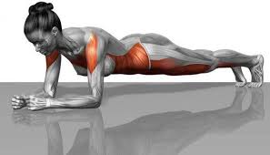 Combien de temps avant des résultats? La Planche Gainage Efficace Ou Pas 10 Exercices