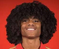 Tahith chong fifa 21 career mode. Tahith Chong Bio Facts Family Life Of Dutch Footballer