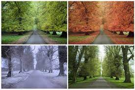 We did not find results for: Landscape Maintenance Arbor Care Hazlett Tree Service