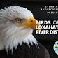 Birding at the Loxahatchee River District