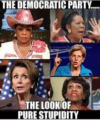 The Democratic Party The Look Of Pure Stupidity Meme On Me Me