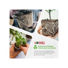 Hormex Rooting Powder #1 - For Moderately Difficult Ghana | Ubuy