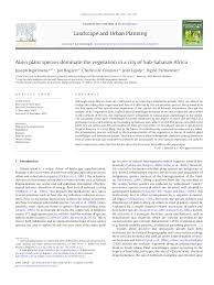 Image result for Vernonia melanocoma