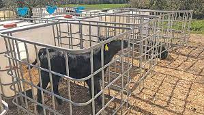 Family Dairy Saves Money By Making Their Own Calf Hutches - Farmers Weekly