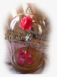 Rose is printed in transparent red and the fallen petals are from a second print of the rose. Free Beauty And The Beast Enchanted Rose Prop Beauty And The Beast Rose Malaysia Free Transparent Png Download Pngkey