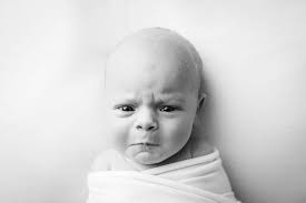 Pamela Fallon Photography Grand Rapids Photographer