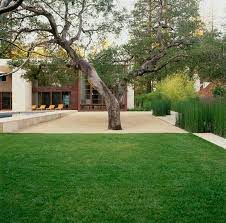 Prairie dropseed grass (sporobolus heterolepis). Stabilized Decomposed Granite Patio Google Search Decomposed Granite Patio Modern Landscaping Hardscape Backyard