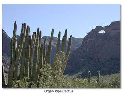 Organ pipe cactus national monument map. Pin On Places To Take Josh