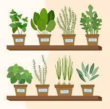 To get a jump on spring planting, you starting small keeps things manageable for beginner gardeners. 12 Ideas For Growing Vegetables Indoors Indoor Vegetable Garden Ideas
