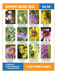 We did not find results for: Native Plants For Bees 791x1024 Tinkers Creek Watershed Partners
