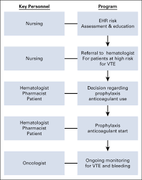 Successful Model for Guideline Implementation to Prevent Cancer-Associated  Thrombosis: Venous Thromboembolism Prevention in the Ambulatory Cancer  Clinic