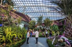 Espanhouse jardin botanico accepts these cards and reserves the right to temporarily hold an amount prior to arrival. Importancia De Un Jardin Botanico Los Jardines Botanicos Del Mundo