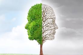 Full of feeling, passionate, sentimental adj. Emotional Balance What It Means And How To Create It