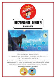 Bijzondere Dieren Plusproject Dieren Vuurvliegjes Zwarte Panter