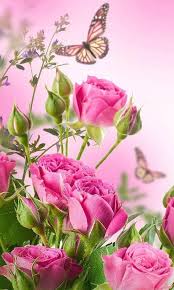 Wallpaper rose flower bouquet images hd. Hd Rose Flowers Live Wallpaper For Android Apk Download