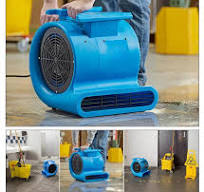 Secador de carpete com ventilador de ar de 1/3 HP e 110 V, limpador de alta  pressão, soprador de piso e água, limpeza de carpete