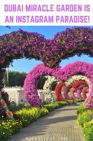 Why Dubai Miracle Gardens Is An Instagram Addict S Paradise Miracle Garden Dubai Dubai Travel