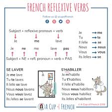Membership A Cup Of French French Language Lessons French Flashcards French Lessons