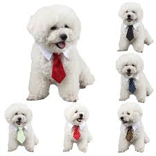 Pet Basit Ve Fashiono Dekoratif Kostum Icin Kopekler Kediler Kopek Moda Yaka Kravat Ile Yildiz Desenler Indirim Kopek Giyim Ve Ayakkabi Www13 Istanbulbilimveakademisyenlerdernegi Org