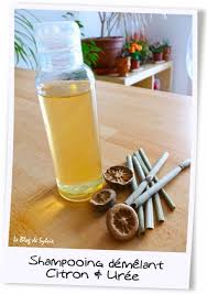 Une Nouvelle Petite Recette De Shampooing Doux Pour M Aider A Demeler Mes Longs Cheveux Bien Rebelles Cet Recette De Shampooing Shampooing Doux Shampoing Doux