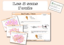 Epingle Sur Les 5 Sens Questionner Le Monde Cycle 2