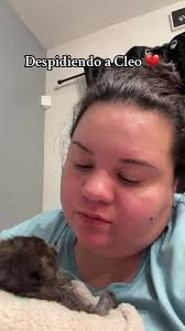 Compra la caja minutera de la tiendita de Luli para un verano refrescante