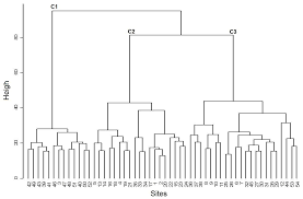 Image result for Ophrestia radicosa