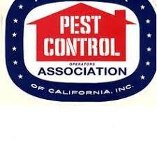 Relax knowing that your lawn is on the way to looking the best that it could. 45 Paradise Pest Solutions Ideas Pest Solutions Pest Control Pests
