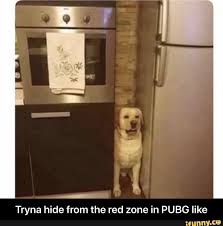 Tryna Hide From The Red Zone In Pubg Like Ifunny Super Funny Memes Memes Funny Memes