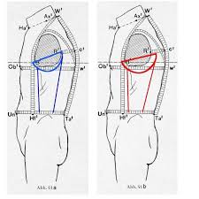 Sartorial Mythbusting The Height Of The Armhole Is Only One